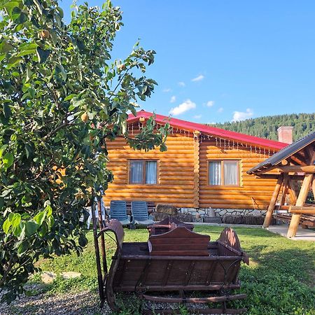 Cabana Alesia, Relaxare La Poalele Raraului Câmpulung Moldovenesc Екстериор снимка
