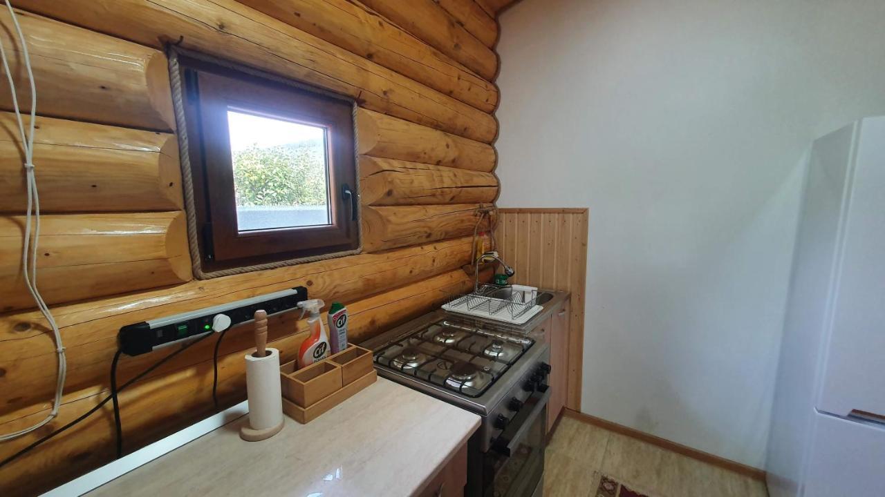 Cabana Alesia, Relaxare La Poalele Raraului Câmpulung Moldovenesc Екстериор снимка