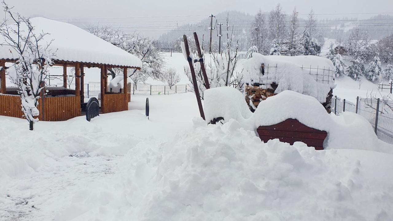 Cabana Alesia, Relaxare La Poalele Raraului Câmpulung Moldovenesc Екстериор снимка