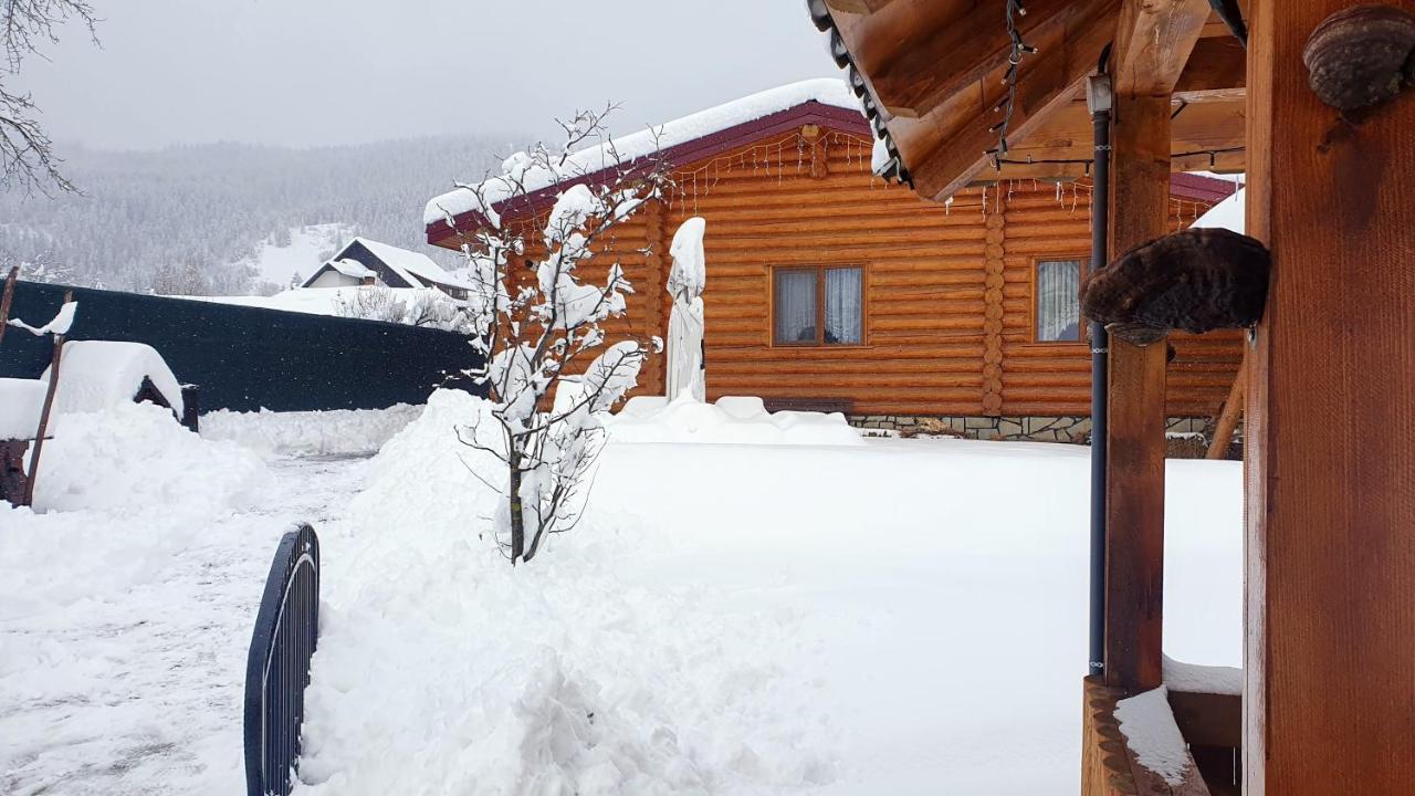 Cabana Alesia, Relaxare La Poalele Raraului Câmpulung Moldovenesc Екстериор снимка